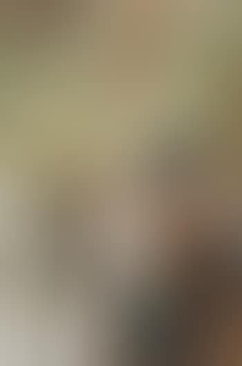 Mujer en un bosque nevado (preview)
