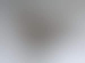 Coq endormi (preview)