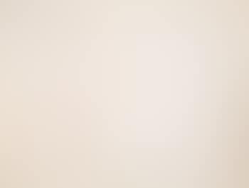 Study for the Portrait of Mrs. Jack Warner (preview)