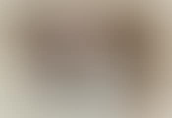 Untitled (Arizona still life) (ID#3866) (preview)