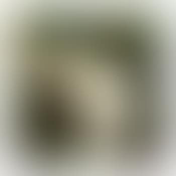 La Colomba Di Comiso (Prototipo) (preview)