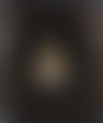 Portrait of a lady (preview)
