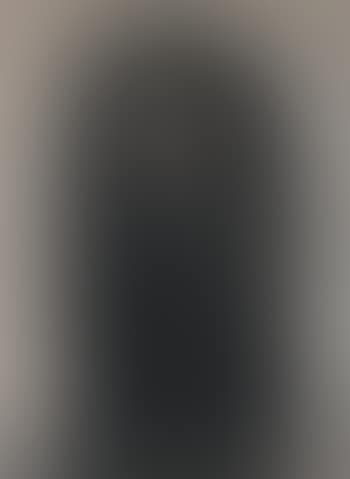 Portrait of Alexander Kerensky (preview)