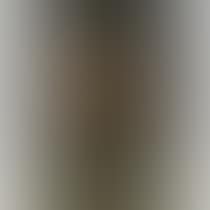 Portrait Of A Man, Head And Shoulders, Traditionally Identified As Cardinal Granvelle (preview)