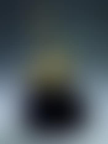 Hommage a Marcel Duchamp (preview)
