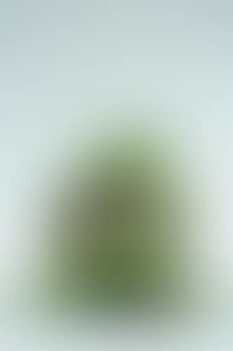 La grenouille (preview)