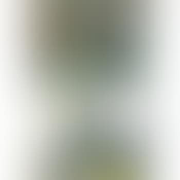 Snow Scene II (preview)
