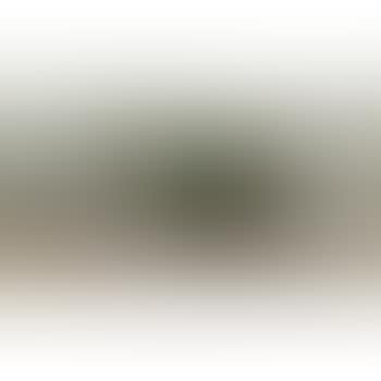 Paysage (preview)