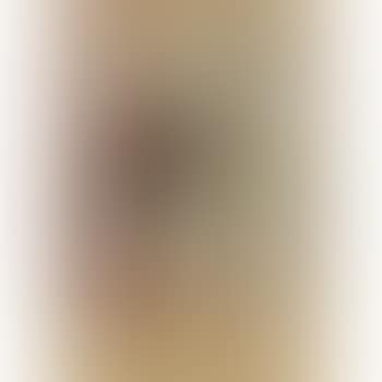 Dies Ist Das Erste Wirklich Aufgelockerte Bild (This Is The First Real Aerated Picture) (preview)