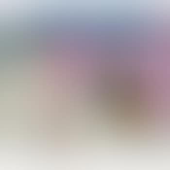 California Art Collector (preview)