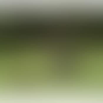 Nux (preview)