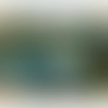 Bougival (preview)