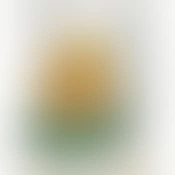 Feasible Monument In The Form Of A Cap (preview)