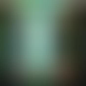 Untitled (For Ellen) (preview)