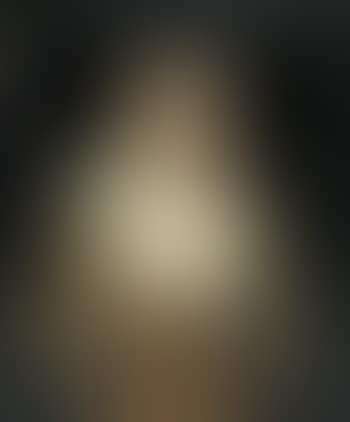 Portrait of a lady, said to be Lady Margaret Mennes, half-length, in a gold dress with a white lace collar, within a painted oval (preview)