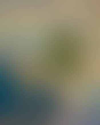 Landscape (preview)