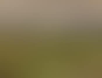 An Aberdeenshire landscape (preview)