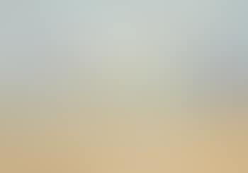 Three trees along a dusty road (preview)