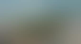 Landscape (preview)