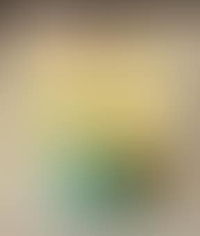 Lores (preview)