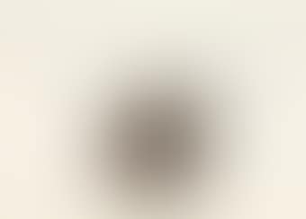 Untitled (from the Series 'Mais ou menos frutas') (preview)