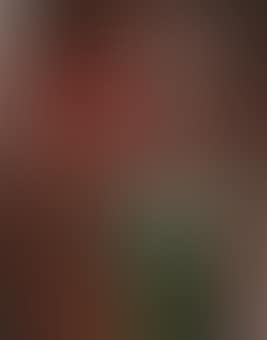 La Flautista (preview)