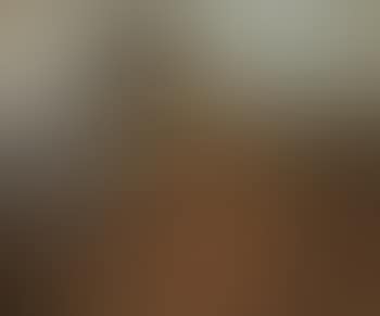 Study of Rocky Mountains (preview)