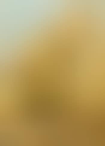 Mexico (preview)