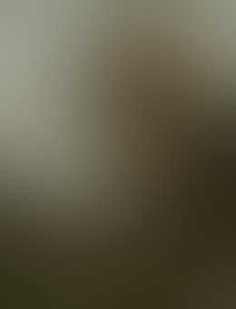 A woodsman in the forest (preview)