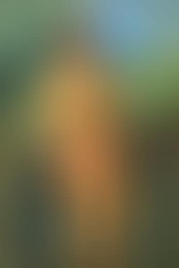 Bather (preview)