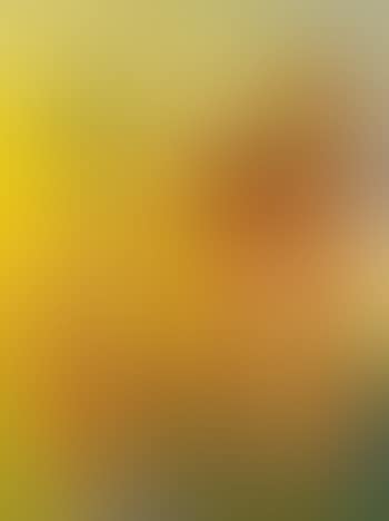 Paesaggio con colonne (preview)