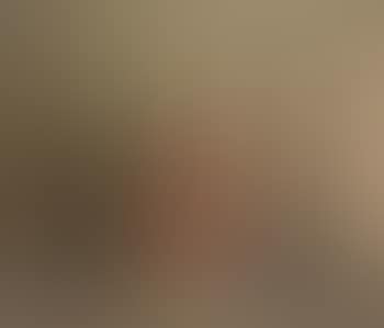 Natura morta (preview)