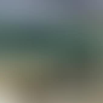 Seascape (preview)
