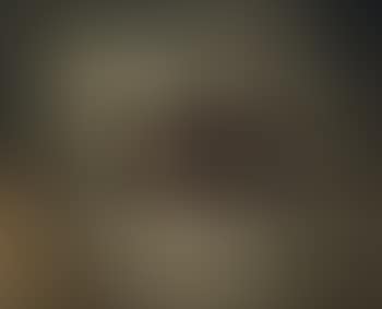Nature morte aux fruits (preview)