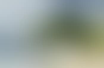 Black Jack Hill, Coromandel (preview)