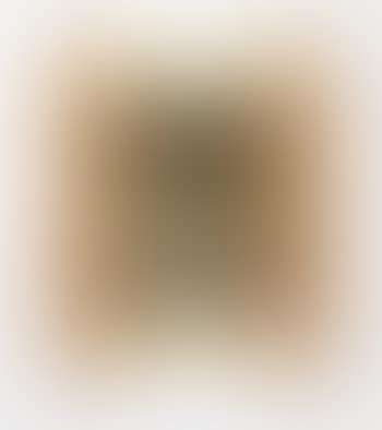 Unique prototype double picture frame (preview)
