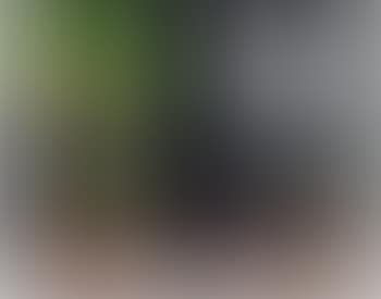 Arbre de vie (preview)