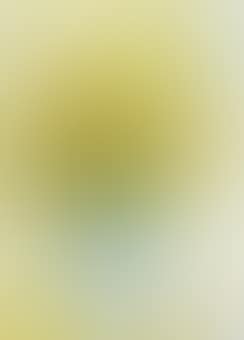 Fleurs dans un vase bleu (Flowers in blue vase) (preview)