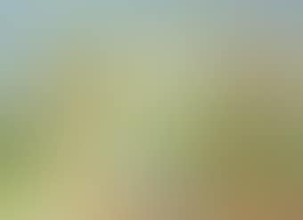 Deux enfants au bouquet (Two children with a bouquet) (preview)