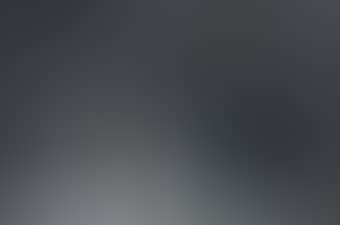 Grey Still Life (preview)