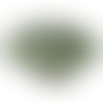Bowl (preview)
