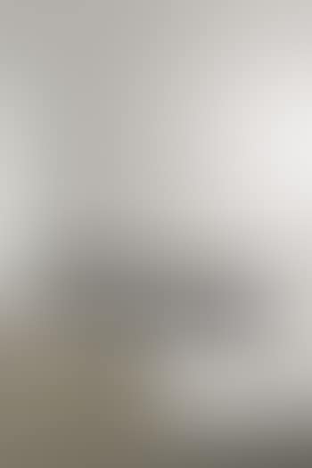 Mucki bench (preview)