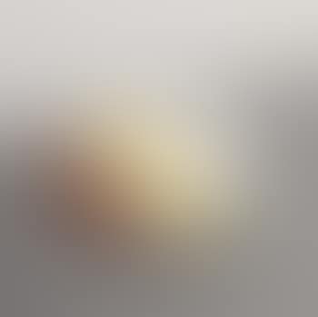 Rare plate (preview)