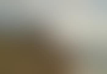 Scene of the Bosphorus (preview)