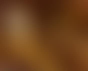 A light-suffused barn (preview)