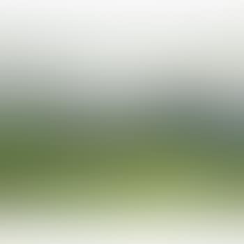 Zebras In Der Steppe (Zebra On The Steppe) (preview)