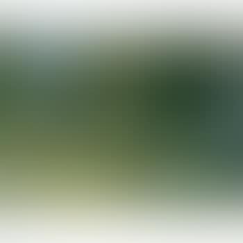 Paysage Du Lot (preview)