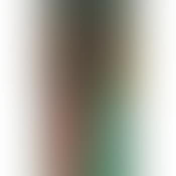 Fourteen Color Woodcut Bathrobe (Doench And Feinberg 112) (preview)