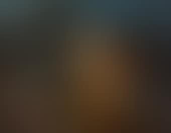 Plutone rapisce Proserpina (preview)