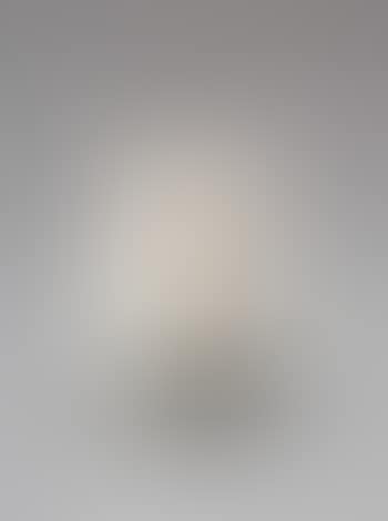 Vase (preview)